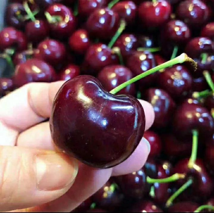 国产大樱桃为什么不叫车厘子,外国的车厘子是不是中国的大樱桃