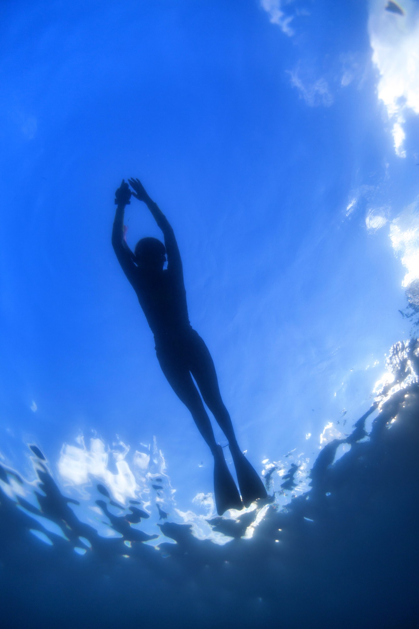 一定是特别的缘分——帕劳,再遇见「周若雪Patty」·上