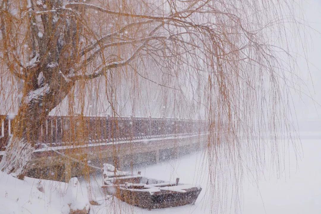 辽宁省高校(三十二)大连外国语大学