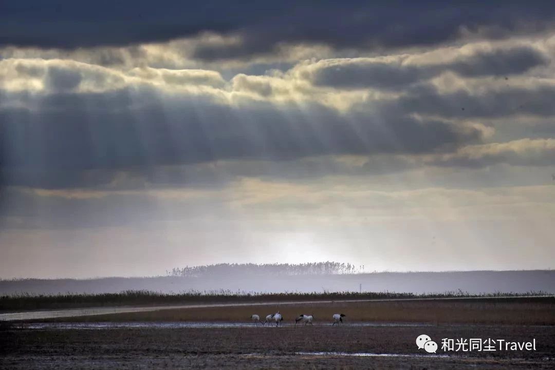 盐城世界第一大湿地,盐城黄海湿地世界遗产