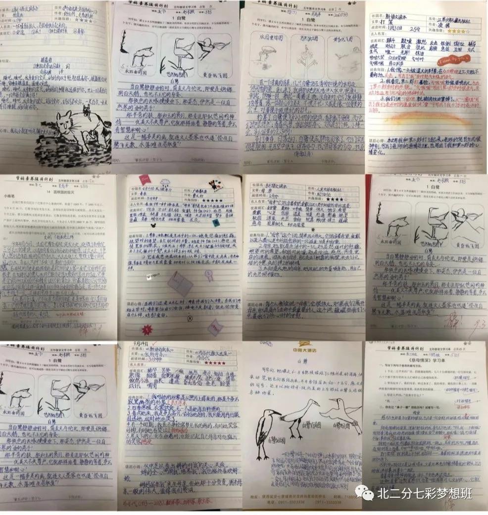 谱和谐之曲走奋进之路——延新一小五年级七班和谐团队申报专题