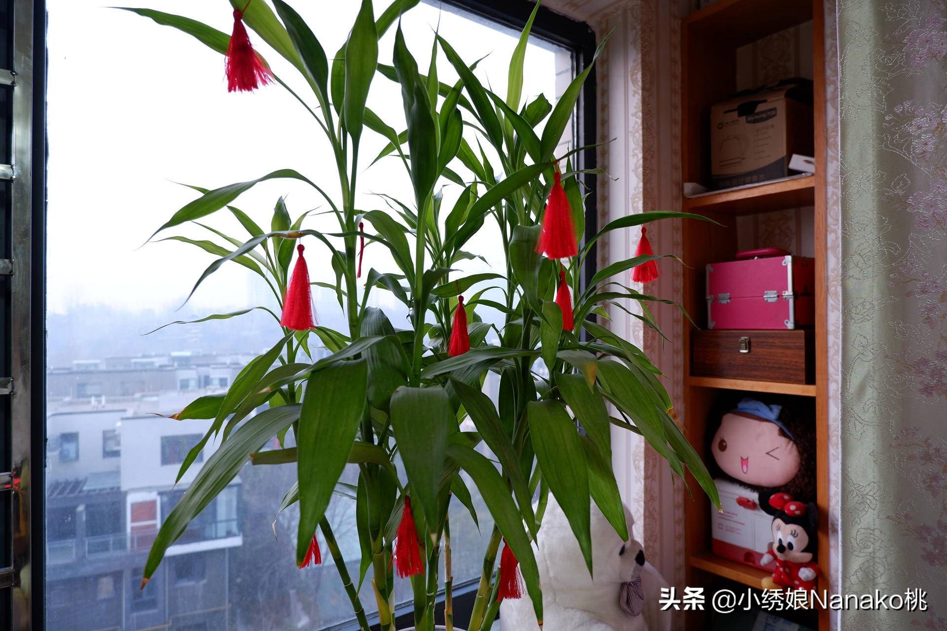 丝带流苏的制作方法,丝带如何自制流苏视频教程