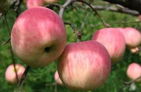 我在长武刚刚好，何必羡慕北上广