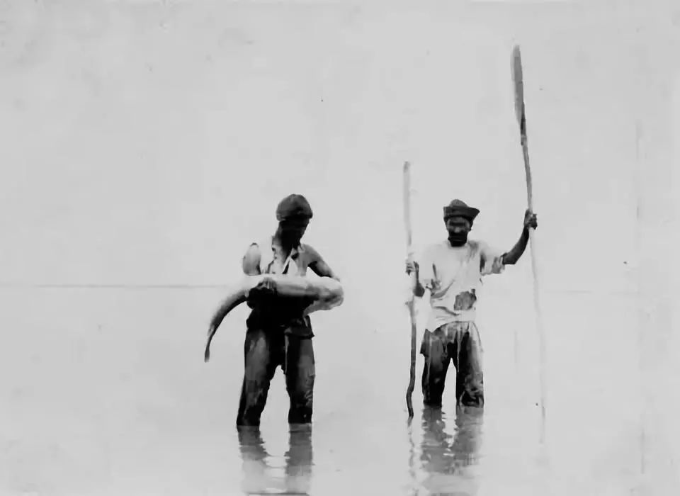 罗布泊楼兰故地地球之耳,若羌地球之眼