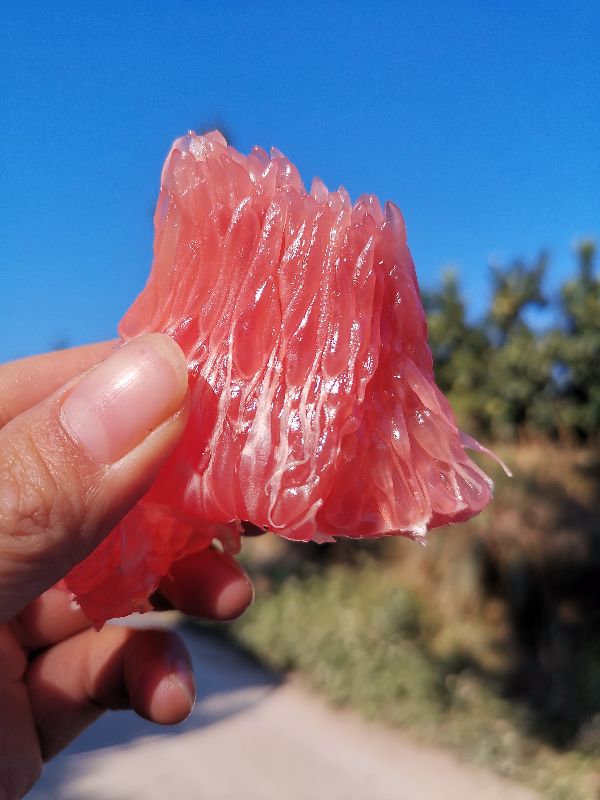 助农优选赣南脐橙,助农崀山脐橙