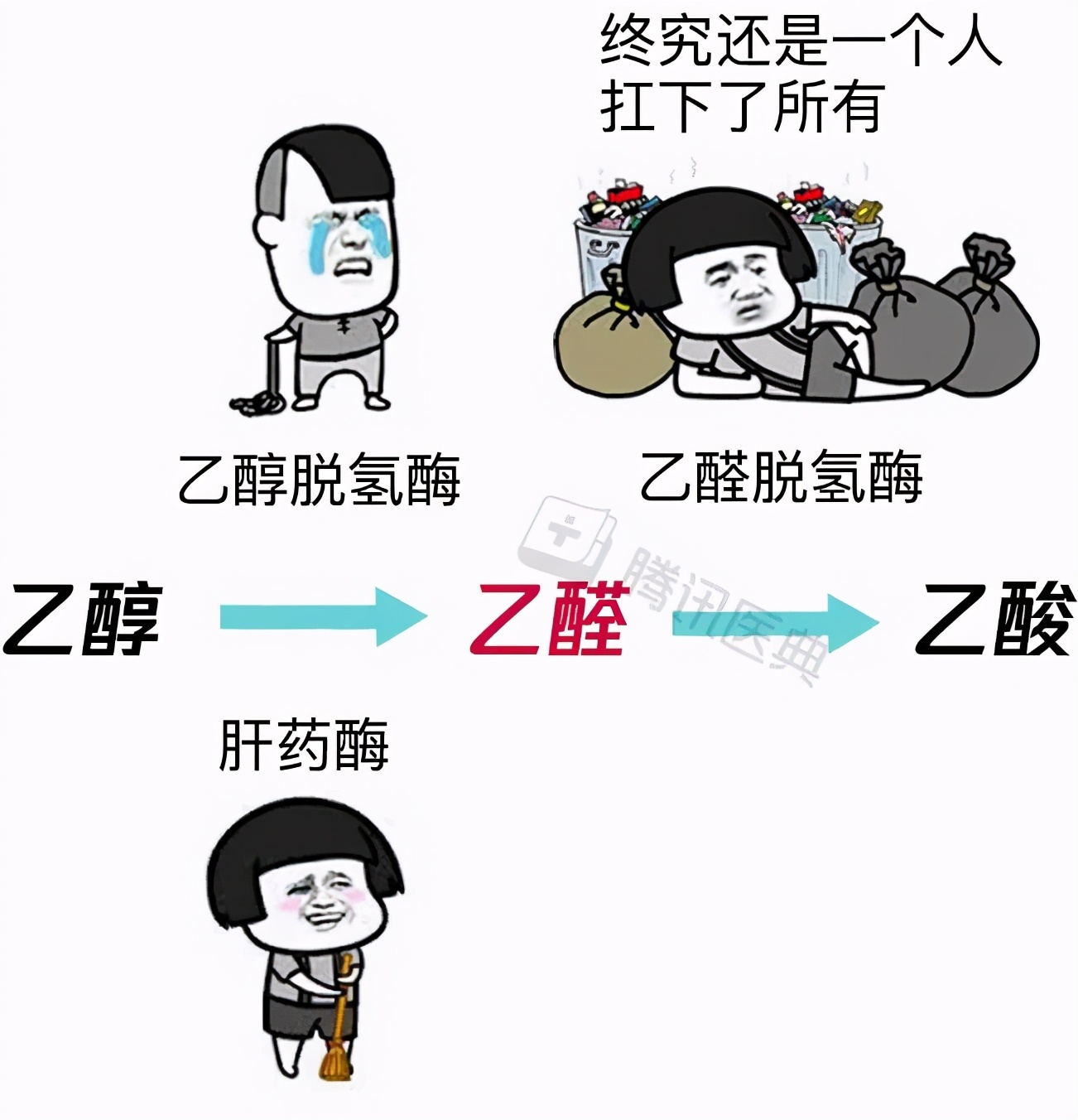 酒精中毒怎么醒酒,酒精进入血液后怎么办