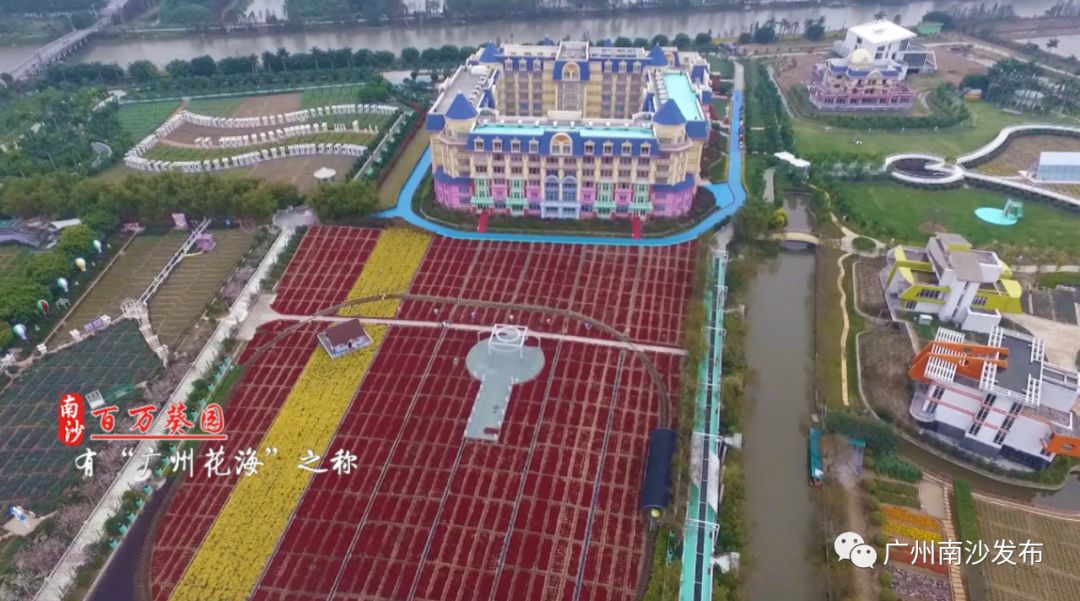 南沙真的美,南沙以后到底会怎么样