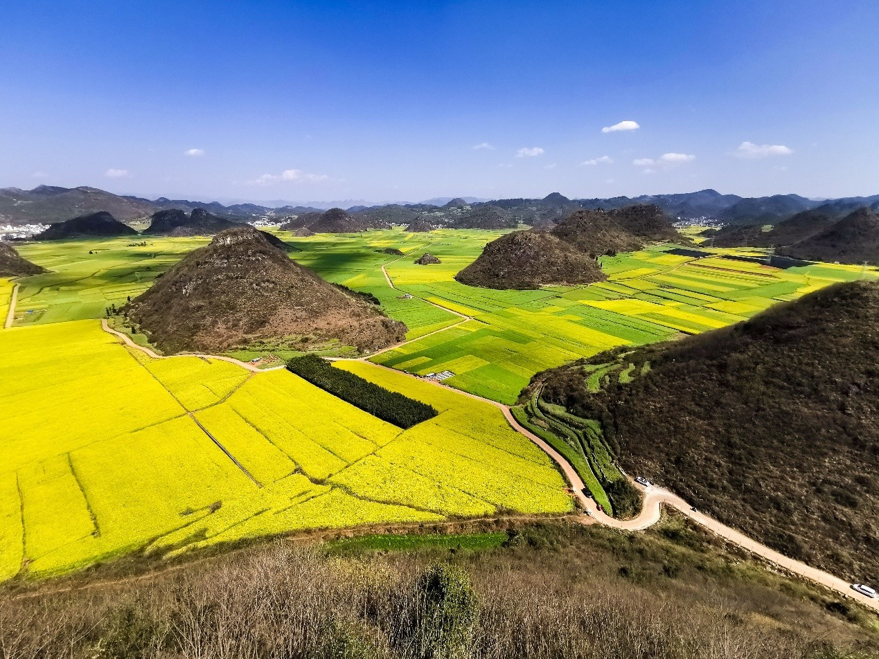 拍照性能旗舰,拍照旗舰标准版