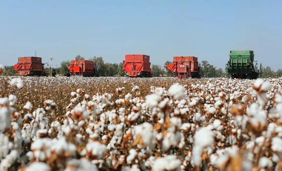 谢谢*疆新**棉，让我看清了“进口纺织品”的智商税