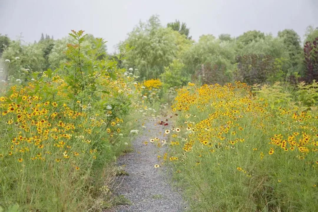 最会说情话的人全集,最会说情话的人