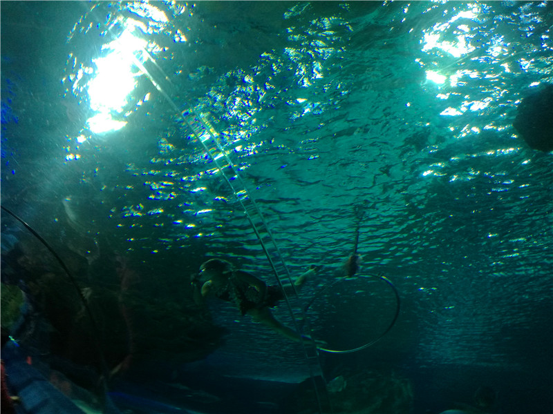 富国海底世界一日游,游富国海底世界