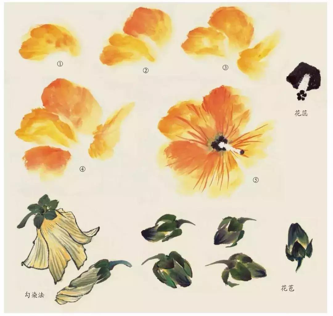 国画中各种花卉的画法,国画花卉画法步骤视频教程