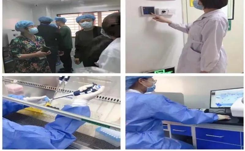 结核实验室布局图,结核病实验室要求