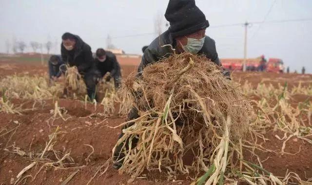 疫情期间你还能熬住吗,疫情面前你的努力不堪一击