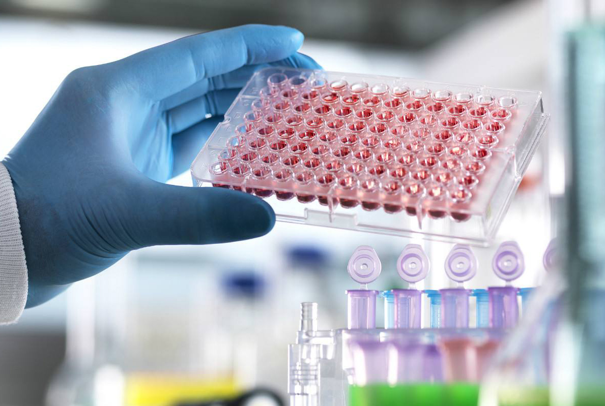 2022干细胞治疗脊髓损伤招募患者,干细胞最新利好