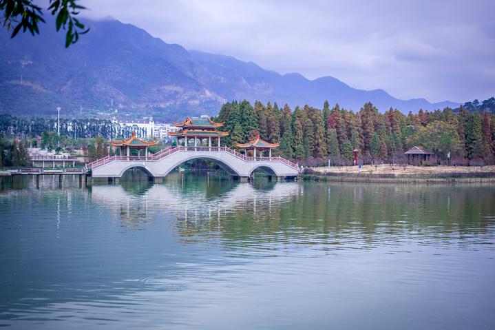 星湖冬日燃情，比落羽杉还要红的是什么？#我和湿地有个约会#