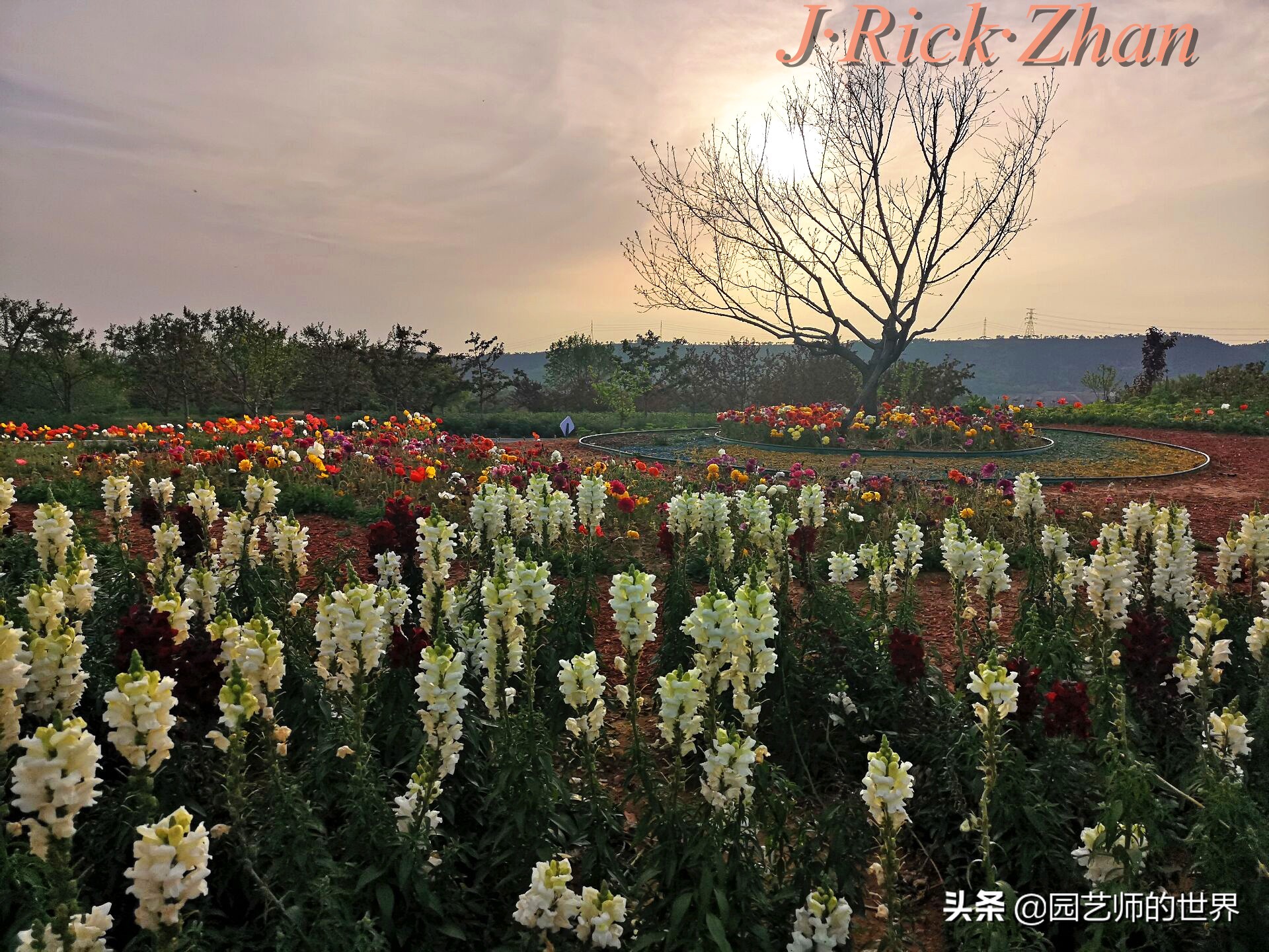 值得参观的国内优秀花园之品鉴（上篇）