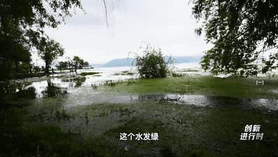 杩欐槸浣犳兂璞′腑鐨勬幢娴峰悧,浣犵湅鍒扮殑娲辨捣