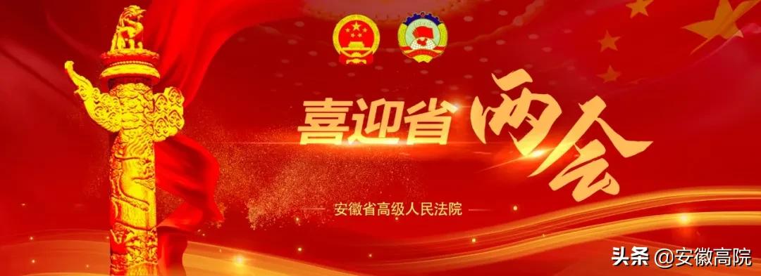 代表委员为法院工作建言献策,代表委员看法院