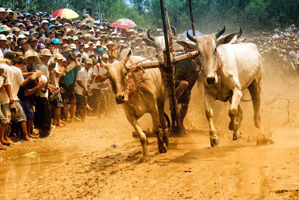 舞台舞蹈拍摄技巧,体育活动拍摄方法