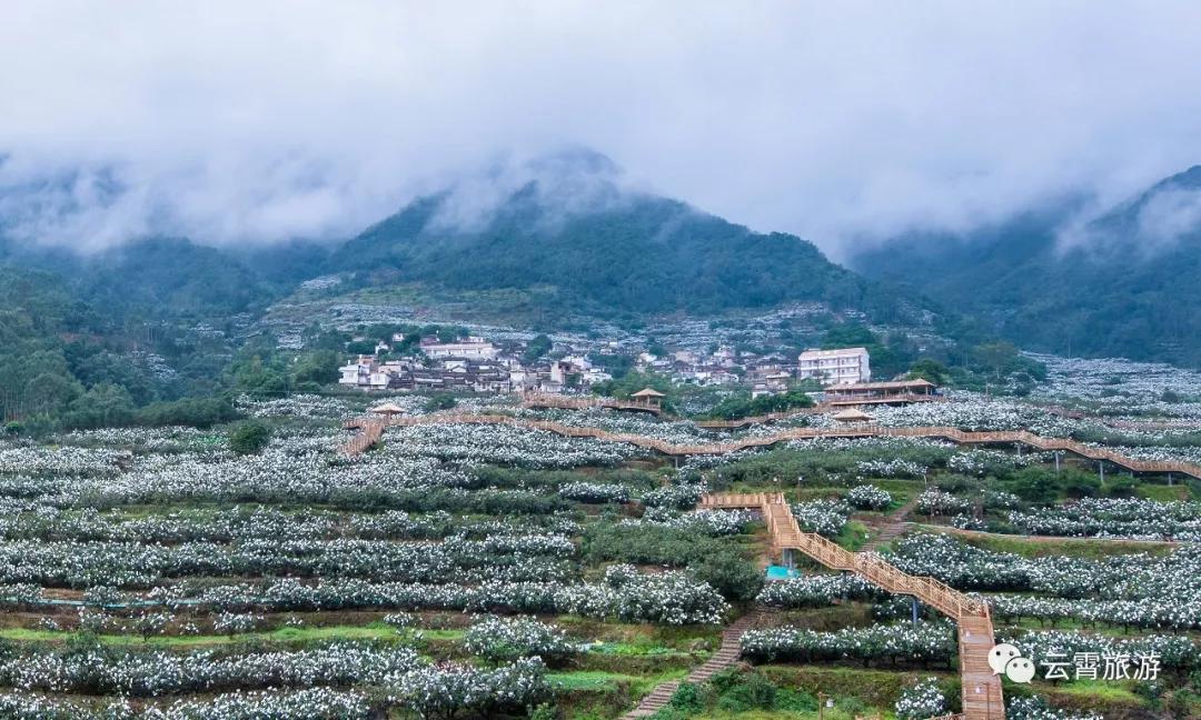 云霄两日一夜游攻略,双节自驾游免费景点