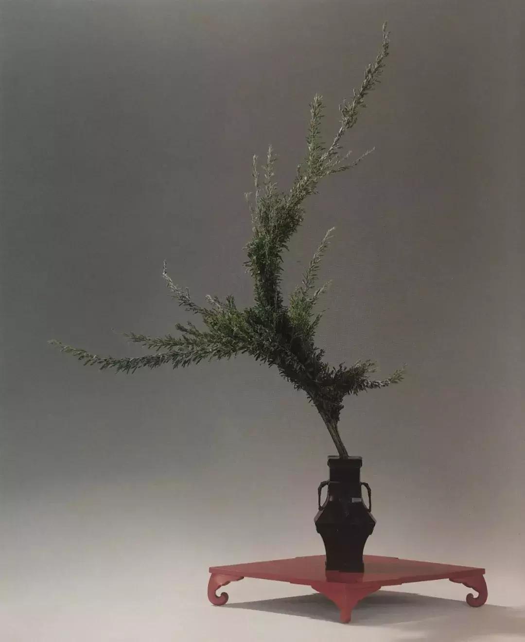 花道与插花技艺,花道活动布置