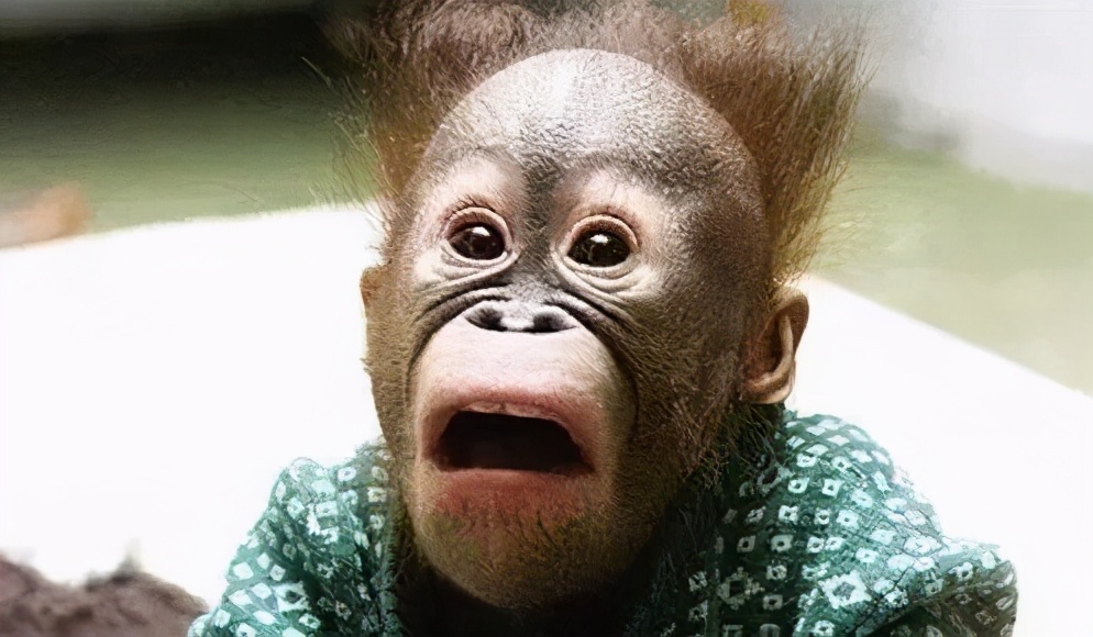 得了口腔溃疡才叫有苦说不出,口腔溃疡的疼是让人纠结的疼