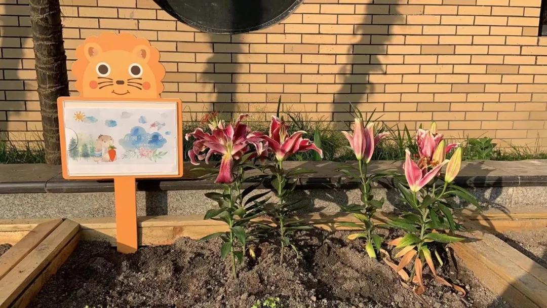 智慧为帆,快乐为桨——华阳中学附属小学一五班探险记