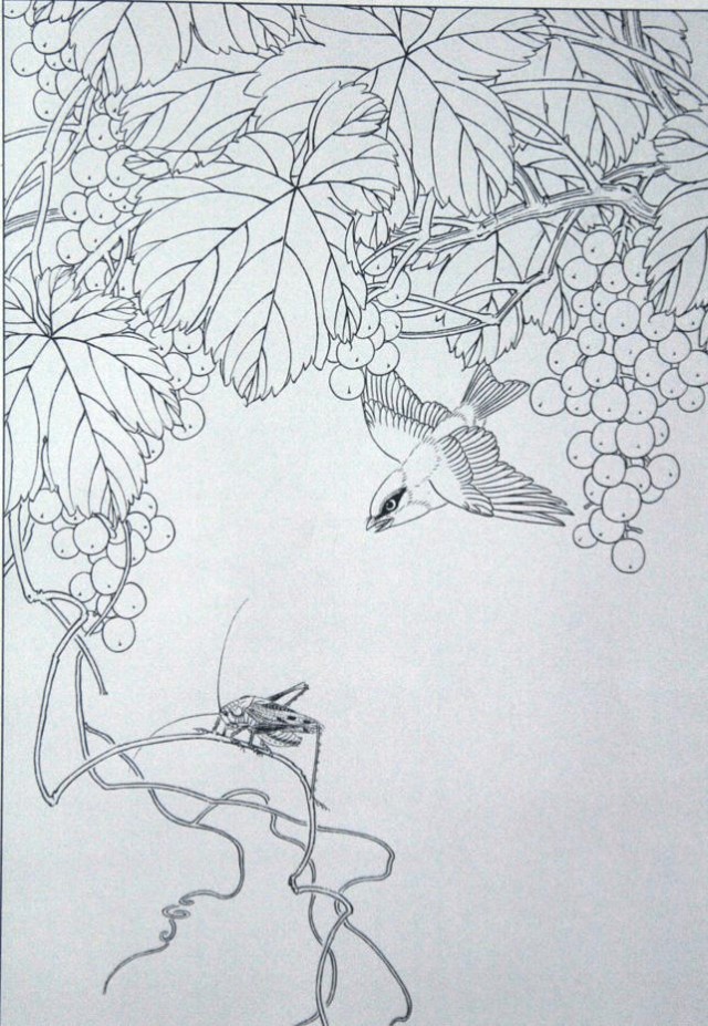工笔勾线葡萄的画法,工笔画葡萄的上色画法步骤