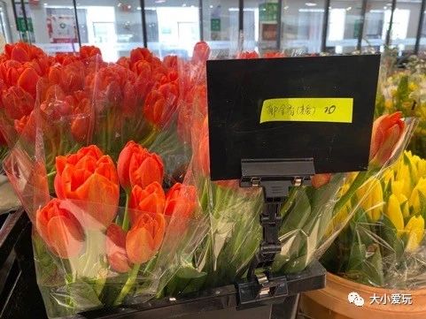 可以逛的花卉市场,值得去看的花卉市场