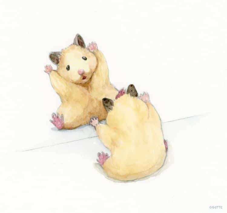 生活里可爱的小仓鼠,水彩颜料画可爱的仓鼠