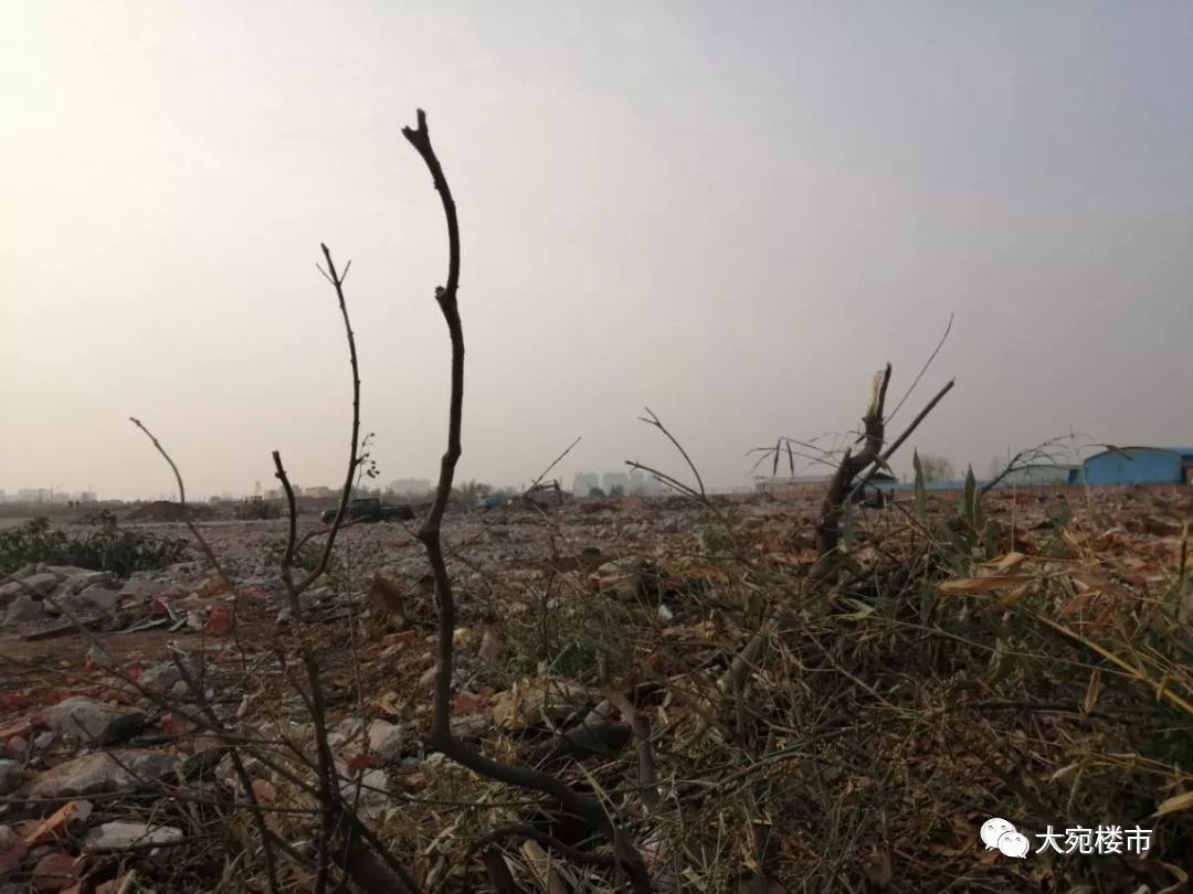 南阳国企,南阳国企排名一览表