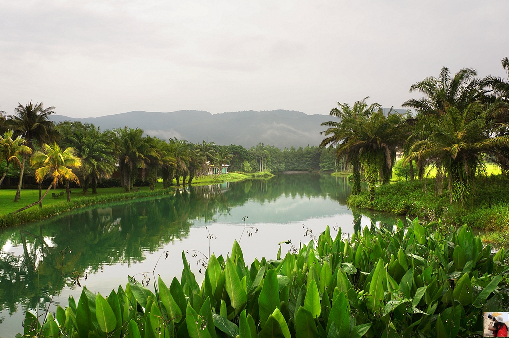 花东纵谷面积,花东纵谷什么意思