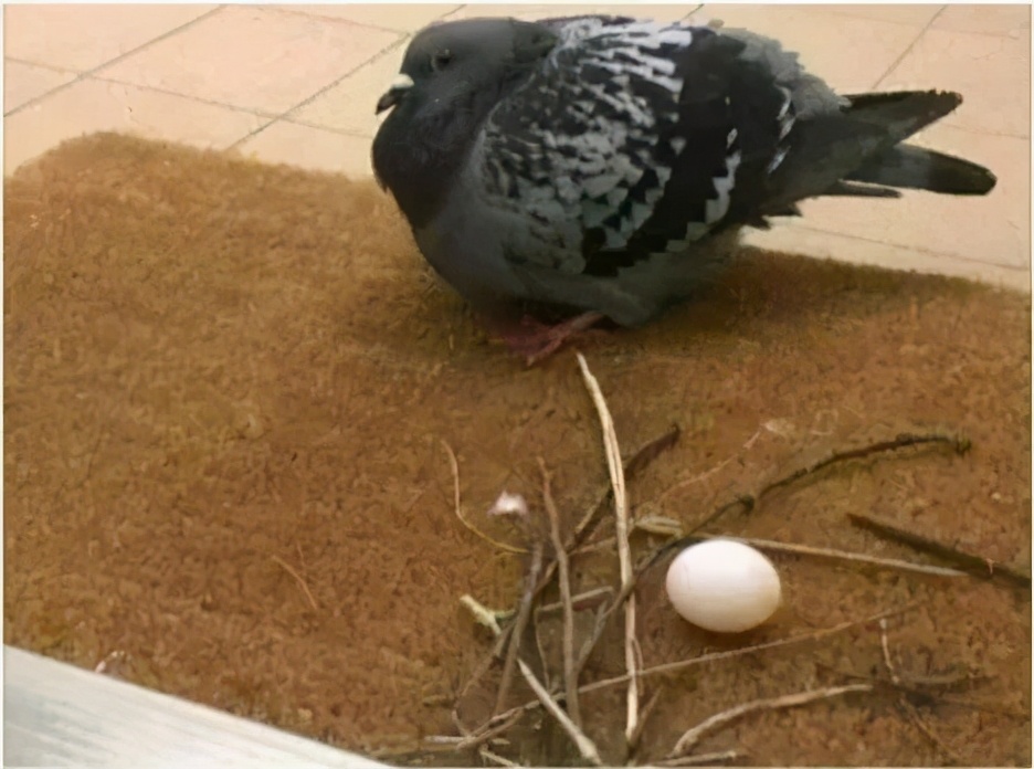 00后知道以前五一七天假吗,00后不知道00年代的事情