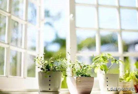 公认绝对有效除甲醛的最好方法,除甲醛最好最快的方法真实测评