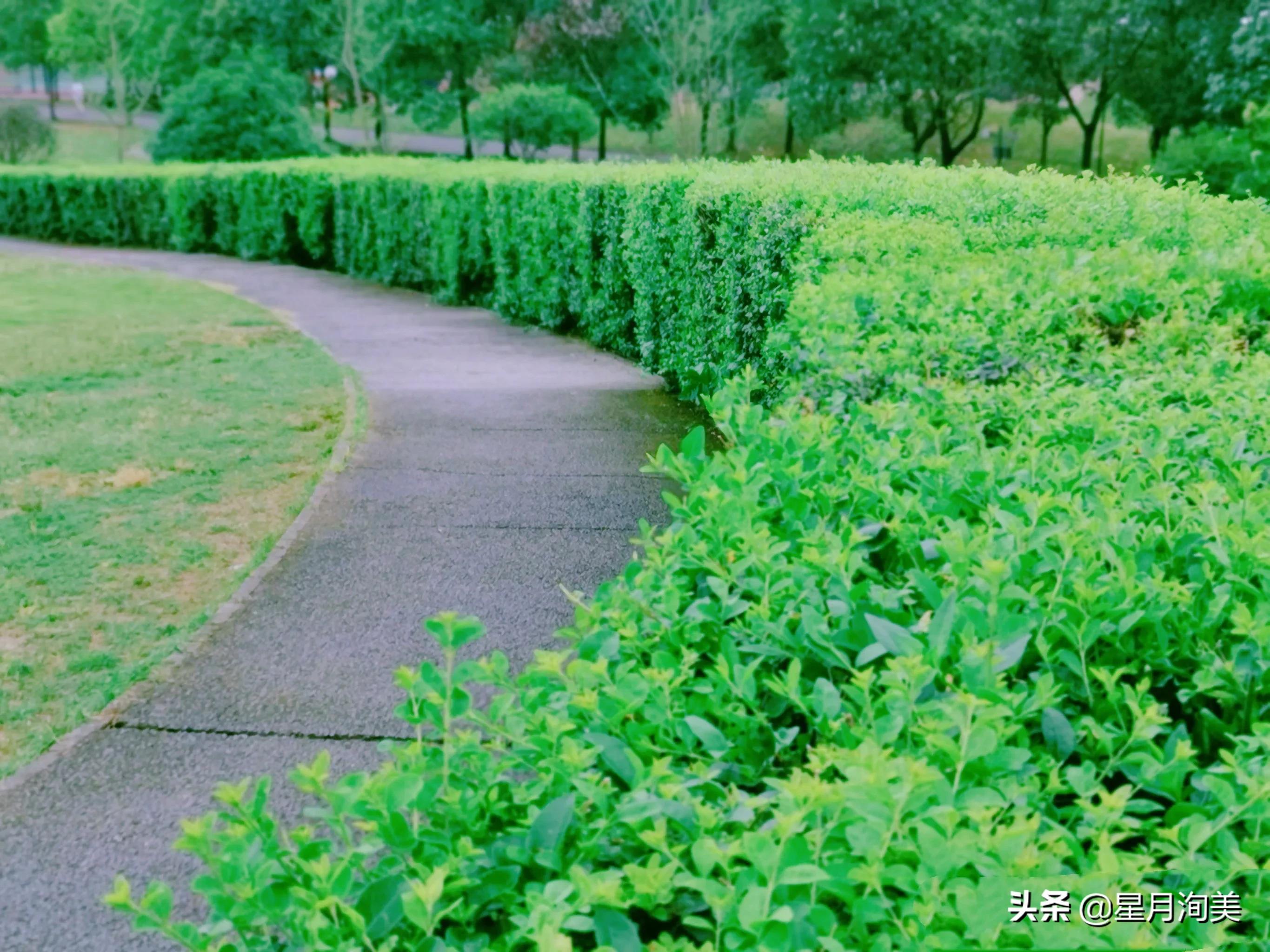 成都小众打卡地点推荐,成都小众但值得去的地方
