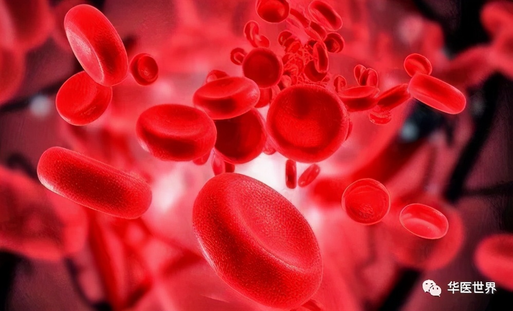 秦伯未中医学习资料,秦伯未医术