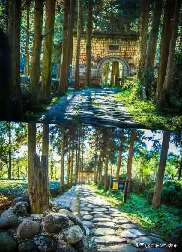 勐海旅游攻略自由行路线图,中国旅游日云南西双版纳