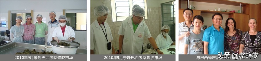 蜂胶便宜的和贵的有什么区别,蜂胶为什么珍贵被称之为紫色黄金