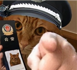 国庆网恋女友,国庆网恋奔现翻车