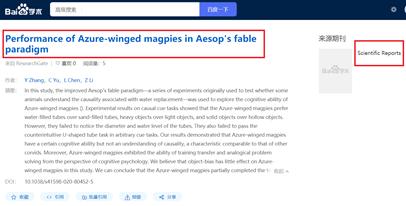 灰喜鹊为什么这么聪明,灰喜鹊为什么那么聪明