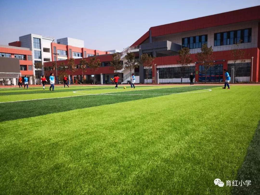 育红小学足球比赛,育红小学2024运动会