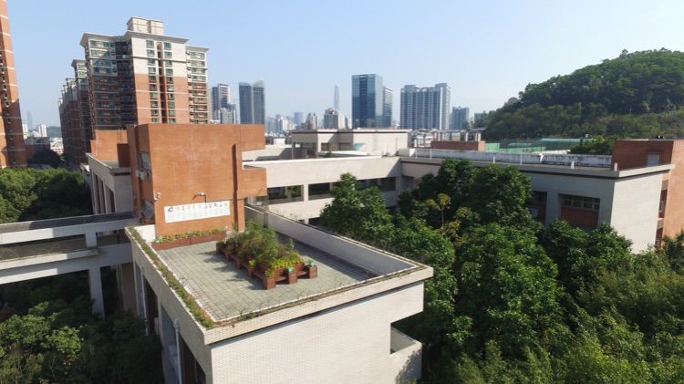 美在梅山-深圳市福田区梅山中学建校20周年志庆(2)