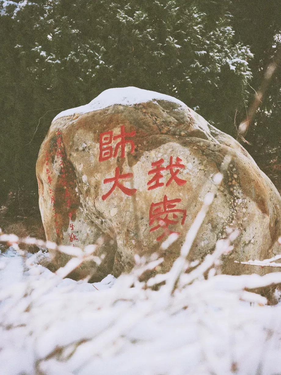 天津公办3+2本科学校有哪些,天津市专升本天津师范大学