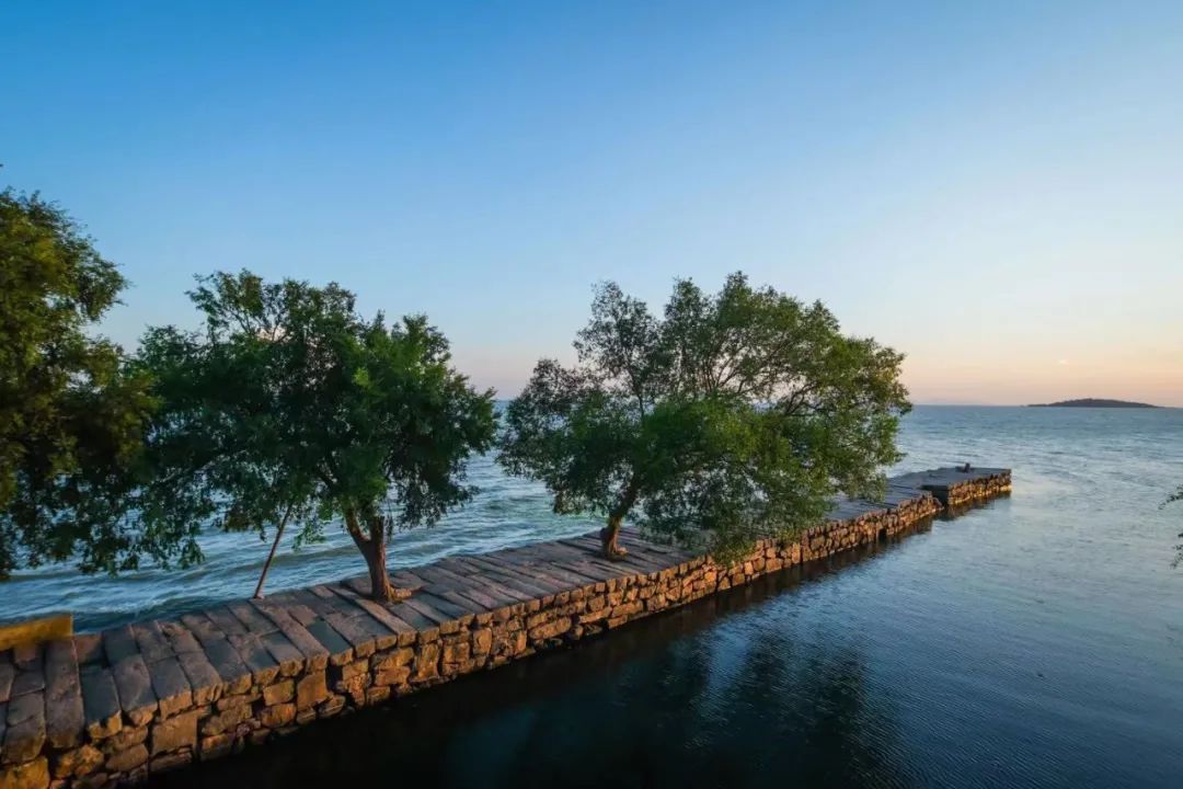 四季苏州|初夏“梅”好相遇，来西山度过酸酸甜甜的一天