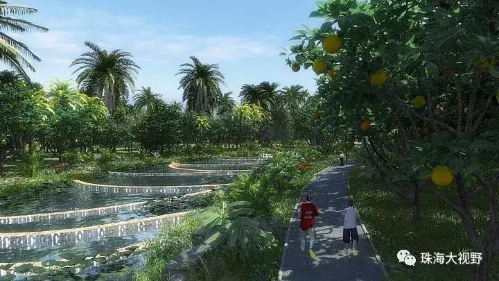 珠海凤凰山风景区怎么样,珠海凤凰山开放通知最新