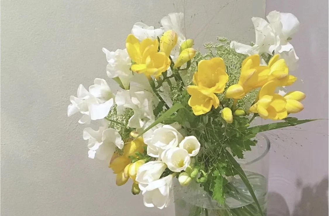 蓝色花花花语,花语是我喜欢你的花