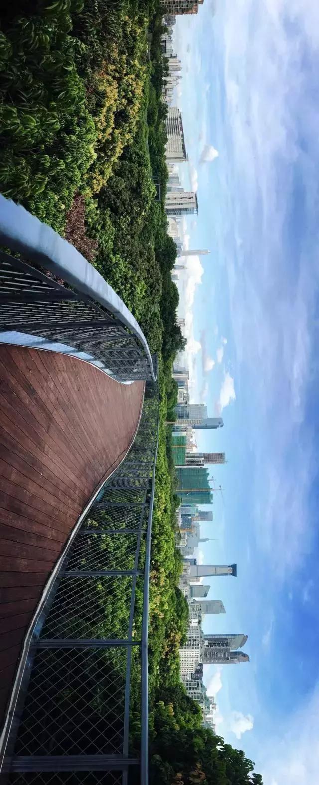 深圳最美婚姻登记处怎么预约,深圳哪个区结婚登记处最美