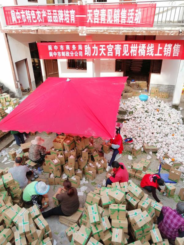 一见青心店铺,一见青心茶叶