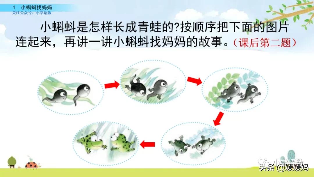 二年级上册小蝌蚪找妈妈听写词语,朗读二年级上册语文小蝌蚪找妈妈
